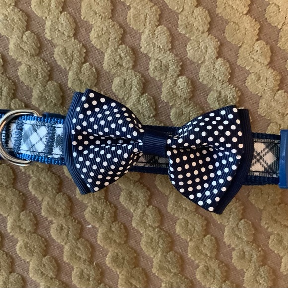 NWOT..TOP PAW…dog collar - Picture 1 of 5